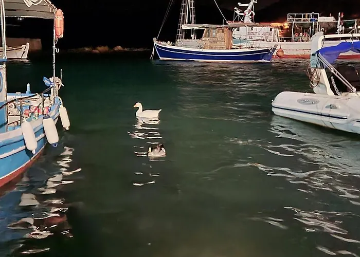 303 Sea And Sun ιδιωτικό * Kardamíli