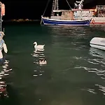 303 Sea And Sun ιδιωτικό * 卡德哈米利