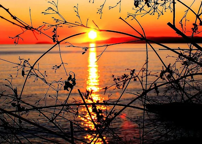 303 Sea And Sun ιδιωτικό Lägenhet Kardhamili